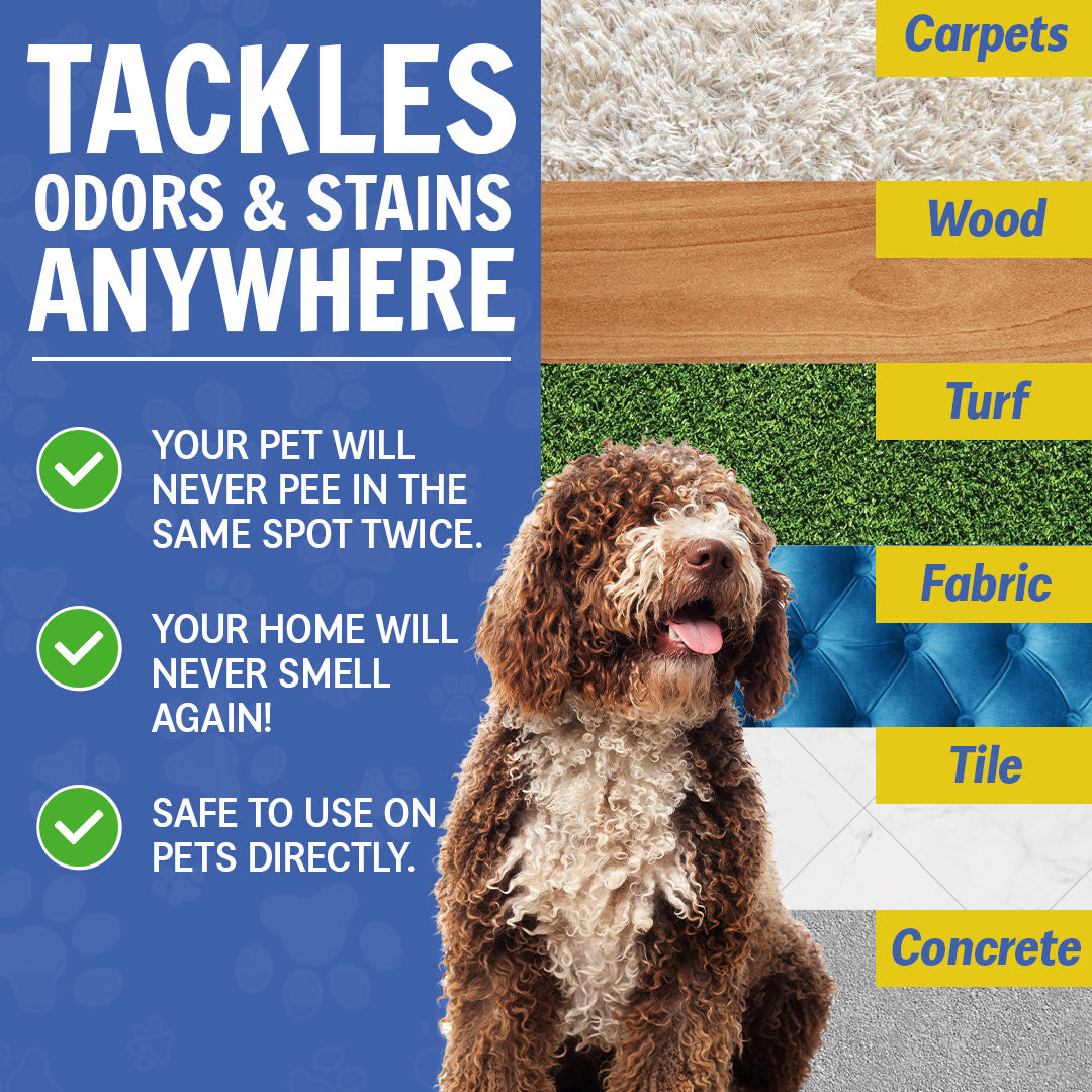 Wizz – Natural Pet Odor Eliminator